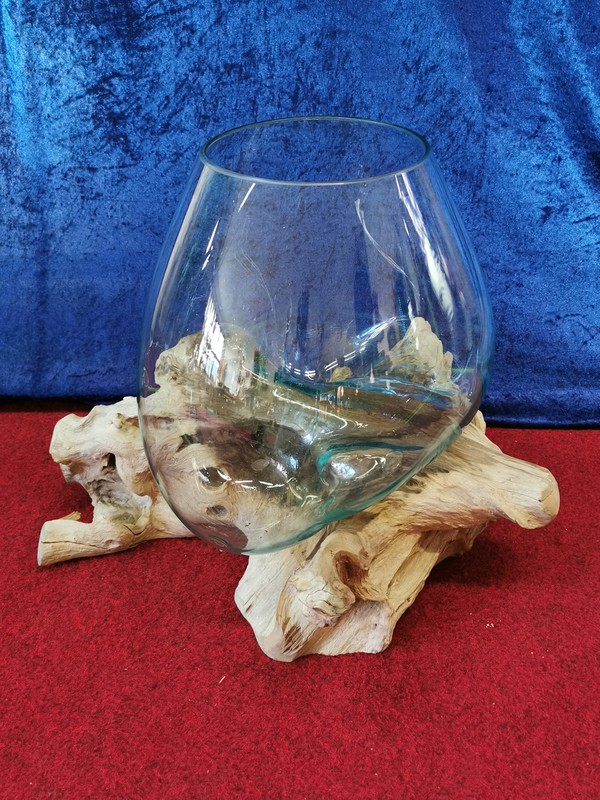 Glas auf Baumwurzel, ca.50cm
